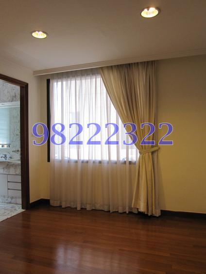 Four Seasons Park (D10), Condominium #114783212